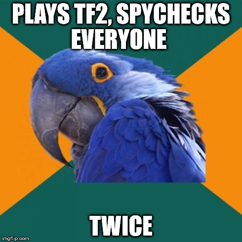 Paranoid Parrot | PLAYS TF2, SPYCHECKS EVERYONE TWICE | image tagged in memes,paranoid parrot | made w/ Imgflip meme maker