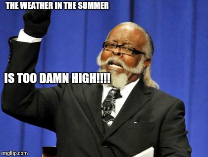 THE WEATHER IN THE SUMMER IS TOO DAMN HIGH!!!! | image tagged in memes,too damn high | made w/ Imgflip meme maker