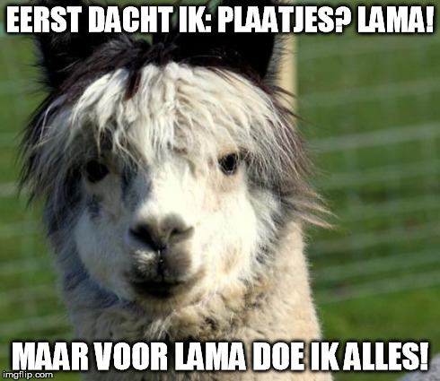 EERST DACHT IK: PLAATJES? LAMA! MAAR VOOR LAMA DOE IK ALLES! | image tagged in lama | made w/ Imgflip meme maker