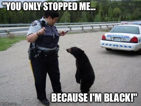 Canadian Cop | "YOU ONLY STOPPED ME... BECAUSE I'M BLACK!" | image tagged in canadian cop,bears,cute,cops,funny,police | made w/ Imgflip meme maker