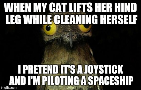 Weird Stuff I Do Potoo | WHEN MY CAT LIFTS HER HIND LEG WHILE CLEANING HERSELF I PRETEND IT'S A JOYSTICK AND I'M PILOTING A SPACESHIP | image tagged in memes,weird stuff i do potoo,AdviceAnimals | made w/ Imgflip meme maker