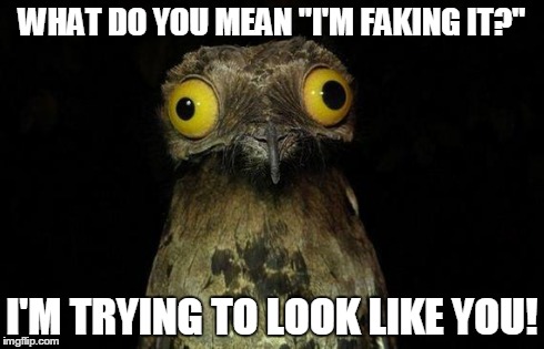 if this fake, you fake. | WHAT DO YOU MEAN "I'M FAKING IT?" I'M TRYING TO LOOK LIKE YOU! | image tagged in memes,weird stuff i do potoo | made w/ Imgflip meme maker