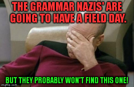 Captain Picard Facepalm Meme | THE GRAMMAR NAZIS' ARE GOING TO HAVE A FIELD DAY. BUT THEY PROBABLY WON'T FIND THIS ONE! | image tagged in memes,captain picard facepalm | made w/ Imgflip meme maker