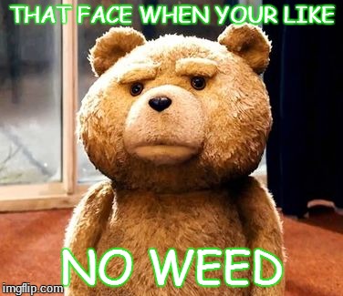 TED | THAT FACE WHEN YOUR LIKE NO WEED | image tagged in memes,ted | made w/ Imgflip meme maker