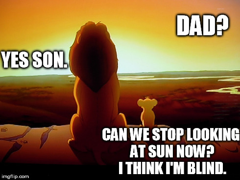 Lion King Meme | DAD? YES SON. CAN WE STOP LOOKING AT SUN NOW? I THINK I'M BLIND. | image tagged in memes,lion king | made w/ Imgflip meme maker