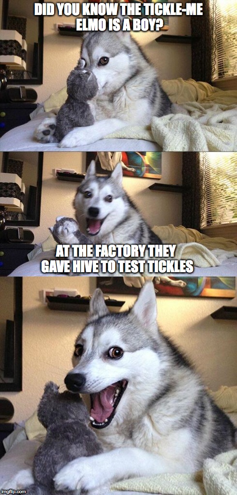 Laughing My Nuts Off | DID YOU KNOW THE TICKLE-ME ELMO IS A BOY? AT THE FACTORY THEY GAVE HIVE TO TEST TICKLES | image tagged in memes,bad pun dog | made w/ Imgflip meme maker