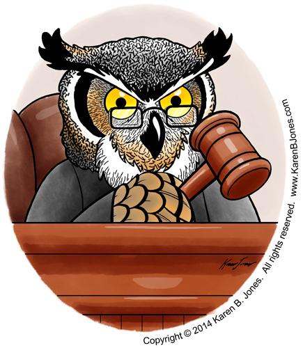 High Quality Owl Judge Blank Meme Template