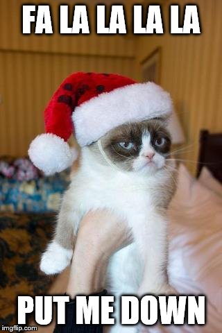 Grumpy Cat Christmas | FA LA LA LA LA PUT ME DOWN | image tagged in memes,grumpy cat christmas,grumpy cat | made w/ Imgflip meme maker