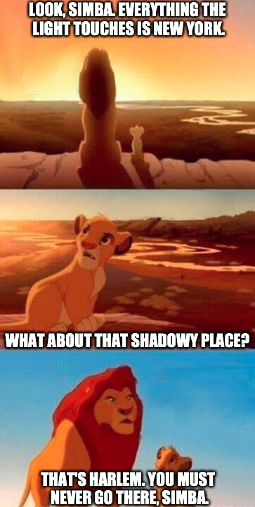 Lion King | LOOK, SIMBA. EVERYTHING THE LIGHT TOUCHES IS NEW YORK. THAT'S HARLEM. YOU MUST NEVER GO THERE, SIMBA. WHAT ABOUT THAT SHADOWY PLACE? | image tagged in lion king | made w/ Imgflip meme maker
