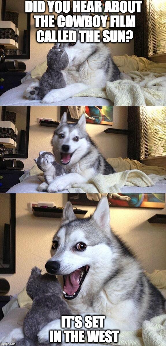 Bad Pun Dog | DID YOU HEAR ABOUT THE COWBOY FILM CALLED THE SUN? IT'S SET IN THE WEST | image tagged in memes,bad pun dog,AdviceAnimals | made w/ Imgflip meme maker
