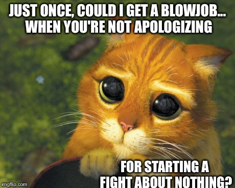 Pretty Please Cat | JUST ONCE, COULD I GET A BL***OB... WHEN YOU'RE NOT APOLOGIZING FOR STARTING A FIGHT ABOUT NOTHING? | image tagged in pretty please cat | made w/ Imgflip meme maker