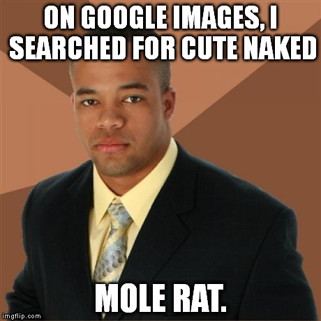Successful Black Man Meme | ON GOOGLE IMAGES, I SEARCHED FOR CUTE NAKED MOLE RAT. | image tagged in memes,successful black man | made w/ Imgflip meme maker
