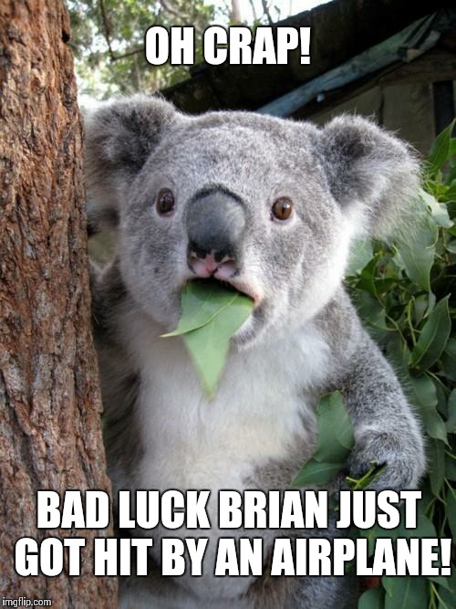 Surprised Koala | OH CRAP! BAD LUCK BRIAN JUST GOT HIT BY AN AIRPLANE! | image tagged in memes,surprised koala | made w/ Imgflip meme maker