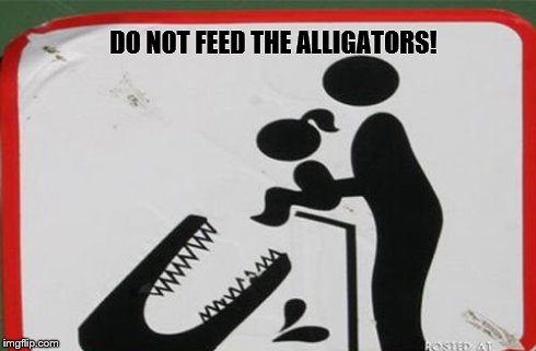Do Not Feed | DO NOT FEED THE ALLIGATORS! | image tagged in alligator,warning sign | made w/ Imgflip meme maker