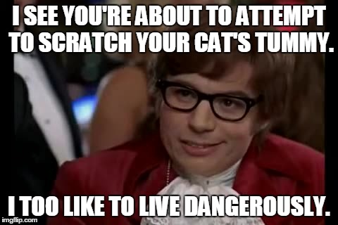cats suck. | I SEE YOU'RE ABOUT TO ATTEMPT TO SCRATCH YOUR CAT'S TUMMY. I TOO LIKE TO LIVE DANGEROUSLY. | image tagged in memes,i too like to live dangerously,cats | made w/ Imgflip meme maker