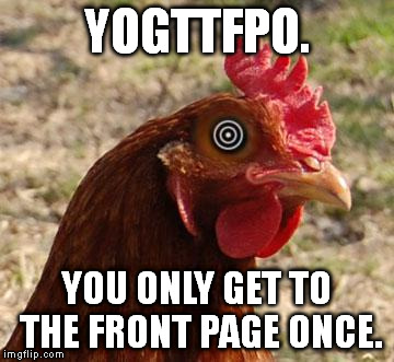 YOLO Chicken | YOGTTFPO. YOU ONLY GET TO THE FRONT PAGE ONCE. | image tagged in yolo chicken | made w/ Imgflip meme maker