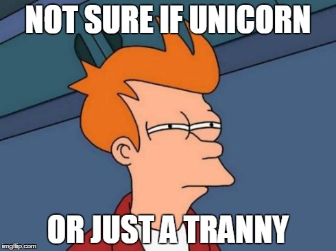 Futurama Fry Meme | NOT SURE IF UNICORN OR JUST A TRANNY | image tagged in memes,futurama fry | made w/ Imgflip meme maker