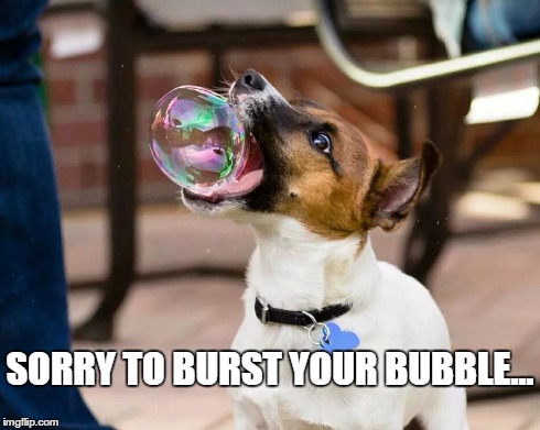 Sorry to burst your bubble | SORRY TO BURST YOUR BUBBLE... | image tagged in dogs | made w/ Imgflip meme maker