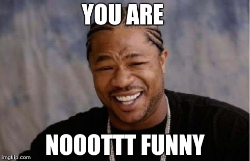 Yo Dawg Heard You | YOU ARE NOOOTTT FUNNY | image tagged in memes,yo dawg heard you | made w/ Imgflip meme maker