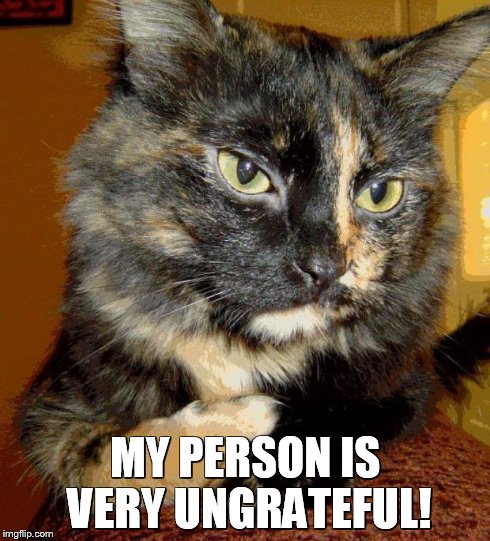 MY PERSON IS VERY UNGRATEFUL! | made w/ Imgflip meme maker