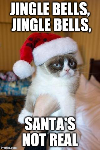 Grumpy Cat Christmas | JINGLE BELLS, JINGLE BELLS, SANTA'S NOT REAL | image tagged in memes,grumpy cat christmas,grumpy cat | made w/ Imgflip meme maker