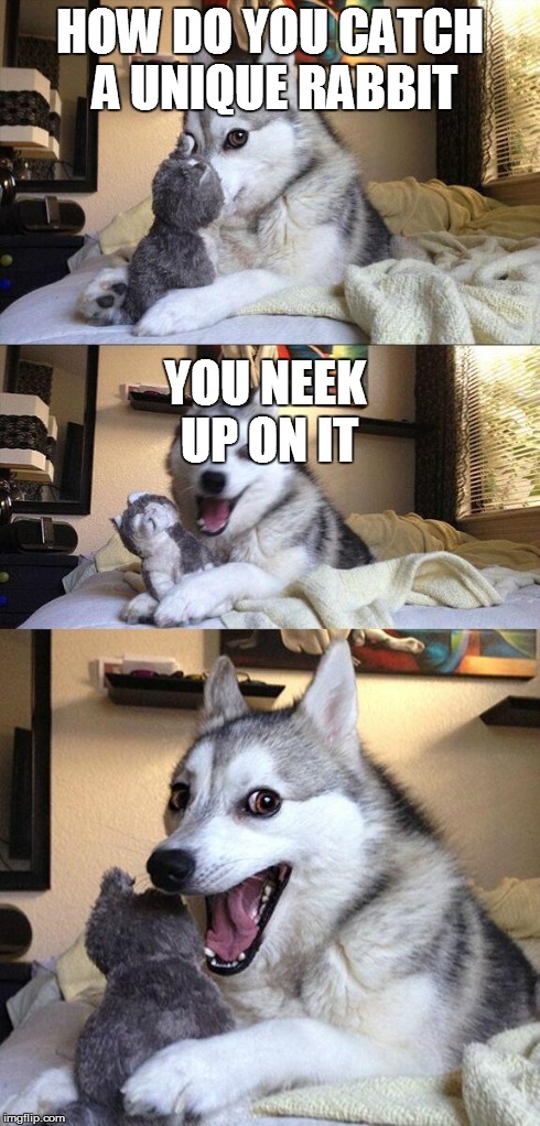 Bad Pun Dog Meme | HOW DO YOU CATCH A UNIQUE RABBIT YOU NEEK UP ON IT | image tagged in memes,bad pun dog | made w/ Imgflip meme maker