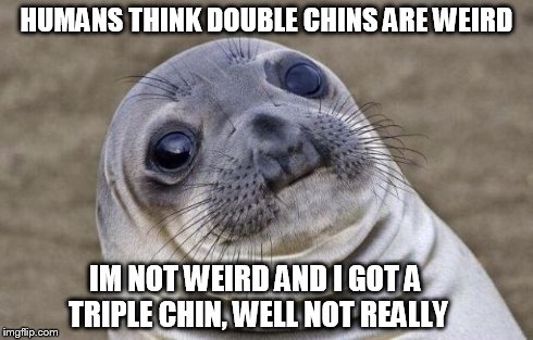 Awkward Moment Sealion | HUMANS THINK DOUBLE CHINS ARE WEIRD IM NOT WEIRD AND I GOT A TRIPLE CHIN, WELL NOT REALLY | image tagged in memes,awkward moment sealion | made w/ Imgflip meme maker