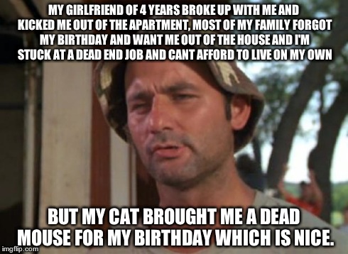 So I Got That Goin For Me Which Is Nice Meme | MY GIRLFRIEND OF 4 YEARS BROKE UP WITH ME AND KICKED ME OUT OF THE APARTMENT, MOST OF MY FAMILY FORGOT MY BIRTHDAY AND WANT ME OUT OF THE HO | image tagged in memes,so i got that goin for me which is nice,AdviceAnimals | made w/ Imgflip meme maker