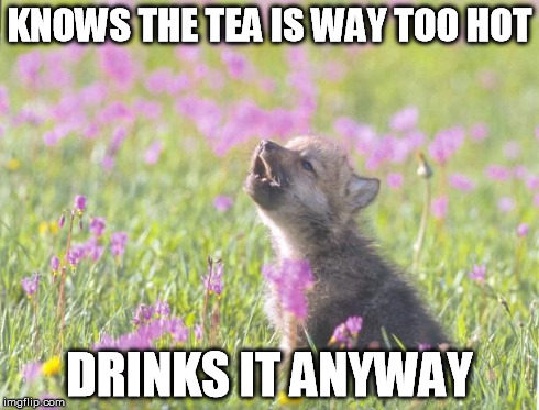 Baby Insanity Wolf Meme | KNOWS THE TEA IS WAY TOO HOT DRINKS IT ANYWAY | image tagged in memes,baby insanity wolf,AdviceAnimals | made w/ Imgflip meme maker