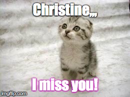 Sad Cat Meme | Christine,,, I miss you! | image tagged in memes,sad cat | made w/ Imgflip meme maker
