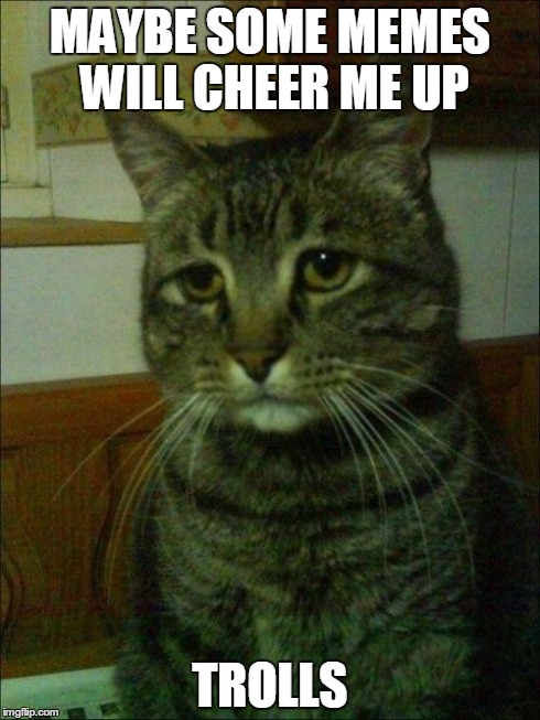 Depressed Cat | MAYBE SOME MEMES WILL CHEER ME UP TROLLS | image tagged in memes,depressed cat | made w/ Imgflip meme maker