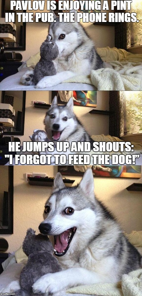 Bad Pun Dog Meme | PAVLOV IS ENJOYING A PINT IN THE PUB. THE PHONE RINGS. HE JUMPS UP AND SHOUTS: "I FORGOT TO FEED THE DOG!â€ | image tagged in memes,bad pun dog | made w/ Imgflip meme maker