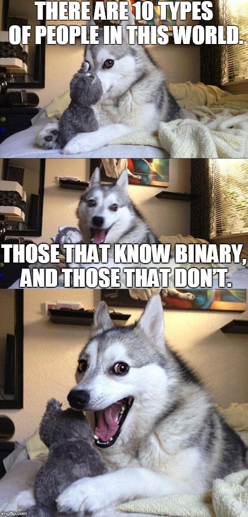 Bad Pun Dog Meme | THERE ARE 10 TYPES OF PEOPLE IN THIS WORLD. THOSE THAT KNOW BINARY, AND THOSE THAT DONâ€™T. | image tagged in memes,bad pun dog | made w/ Imgflip meme maker