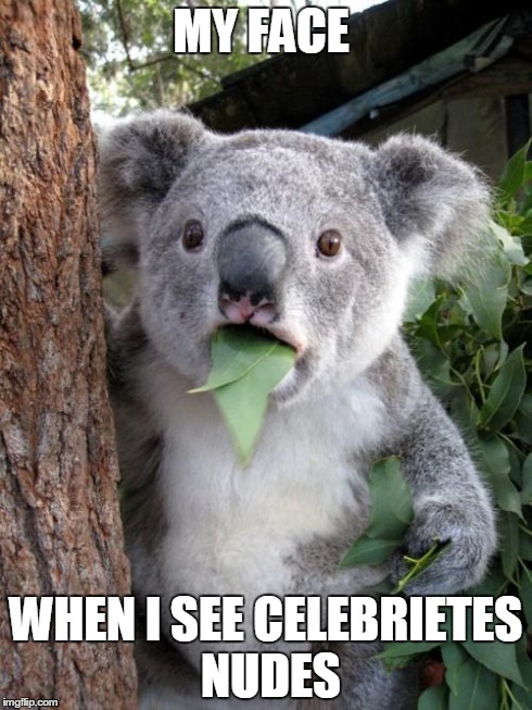 Surprised Koala Meme | MY FACE WHEN I SEE CELEBRIETES NUDES | image tagged in memes,surprised koala | made w/ Imgflip meme maker