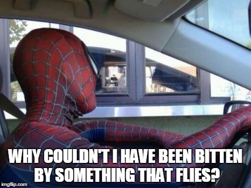 Spider-man Driving | WHY COULDN'T I HAVE BEEN BITTEN BY SOMETHING THAT FLIES? | image tagged in spider-man driving,memes,funny,comics/cartoons | made w/ Imgflip meme maker