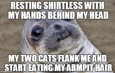 Awkward Moment Sealion Meme | RESTING SHIRTLESS WITH MY HANDS BEHIND MY HEAD MY TWO CATS FLANK ME AND START EATING MY ARMPIT HAIR | image tagged in memes,awkward moment sealion,AdviceAnimals | made w/ Imgflip meme maker