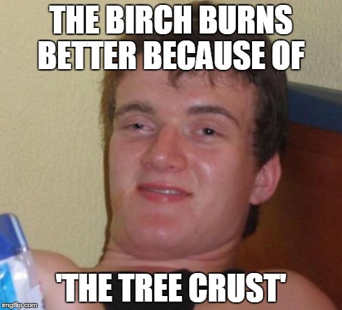 10 Guy Meme | THE BIRCH BURNS BETTER BECAUSE OF 'THE TREE CRUST' | image tagged in memes,10 guy | made w/ Imgflip meme maker