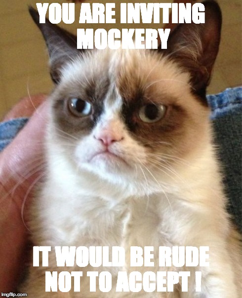 Grumpy Cat | YOU ARE INVITING MOCKERY IT WOULD BE RUDE NOT TO ACCEPT ! | image tagged in memes,grumpy cat | made w/ Imgflip meme maker