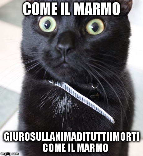 Woah Kitty Meme | COME IL MARMO GIUROSULLANIMADITUTTIIMORTI   
COME IL MARMO | image tagged in memes,woah kitty | made w/ Imgflip meme maker