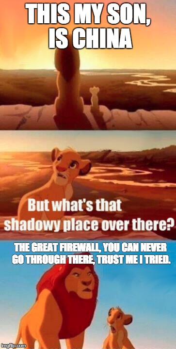 Simba Shadowy Place Meme | THIS MY SON, IS CHINA THE GREAT FIREWALL, YOU CAN NEVER GO THROUGH THERE, TRUST ME I TRIED. | image tagged in memes,simba shadowy place | made w/ Imgflip meme maker