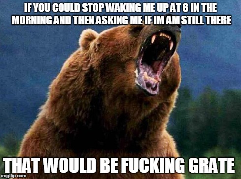Rage Bear | IF YOU COULD STOP WAKING ME UP AT 6 IN THE MORNING AND THEN ASKING ME IF IM AM STILL THERE THAT WOULD BE F**KING GRATE | image tagged in rage bear | made w/ Imgflip meme maker