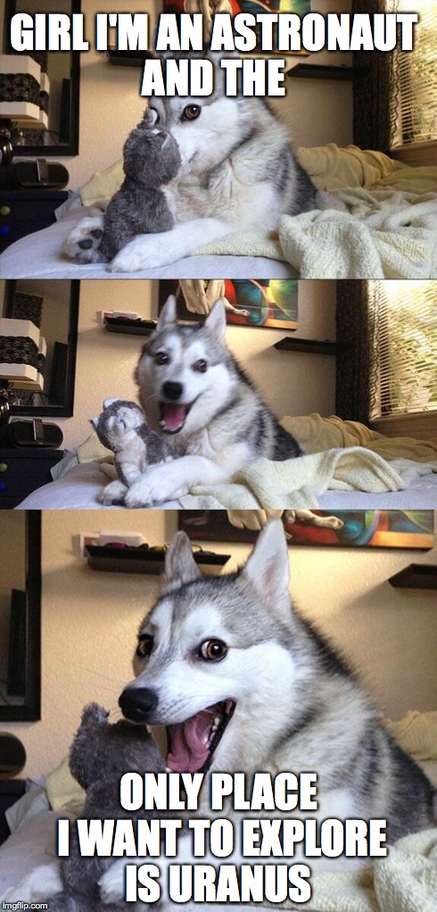 Bad Pun Dog | GIRL I'M AN ASTRONAUT AND THE ONLY PLACE I WANT TO EXPLORE IS URANUS | image tagged in memes,bad pun dog | made w/ Imgflip meme maker