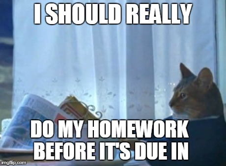 i usually do my homework