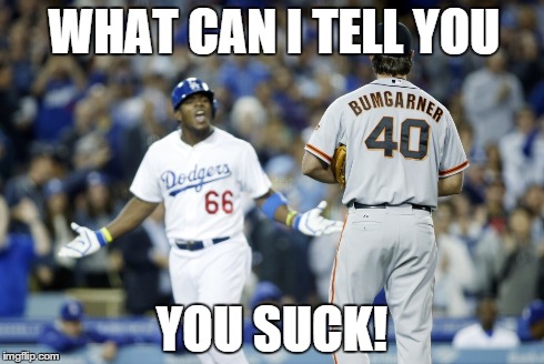 WHAT CAN I TELL YOU YOU SUCK! | image tagged in baseball | made w/ Imgflip meme maker