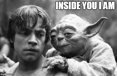 Luke&Yoda | INSIDE YOU I AM | image tagged in lukeyoda | made w/ Imgflip meme maker