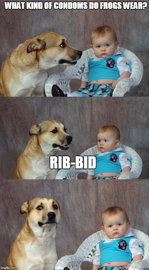 Dad Joke Dog | WHAT KIND OF CONDOMS DO FROGS WEAR? RIB-BID | image tagged in memes,dad joke dog | made w/ Imgflip meme maker