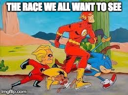 The Race we all want to see | THE RACE WE ALL WANT TO SEE | image tagged in the race we all want to see,flash,sonic,race,speed | made w/ Imgflip meme maker