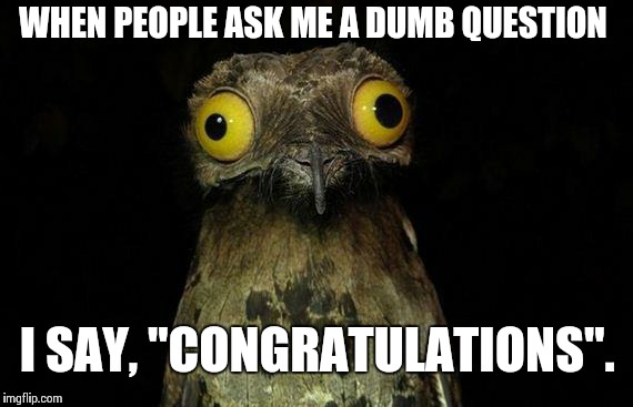 Weird Stuff I Do Potoo | WHEN PEOPLE ASK ME A DUMB QUESTION I SAY, "CONGRATULATIONS". | image tagged in memes,weird stuff i do potoo | made w/ Imgflip meme maker