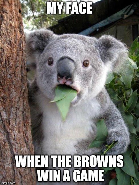 Surprised Koala | MY FACE WHEN THE BROWNS WIN A GAME | image tagged in memes,surprised koala | made w/ Imgflip meme maker