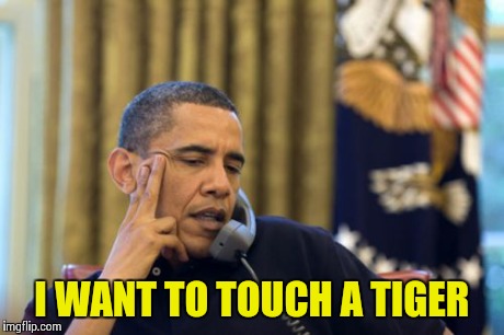 No I Can't Obama | I WANT TO TOUCH A TIGER | image tagged in memes,no i cant obama | made w/ Imgflip meme maker